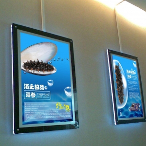 _(ti)õďV湫˾_(d)ĠI(yng)NĿ(bio)(_(ti)V棬ṩ(chung)?tng)I(yng)NQ
